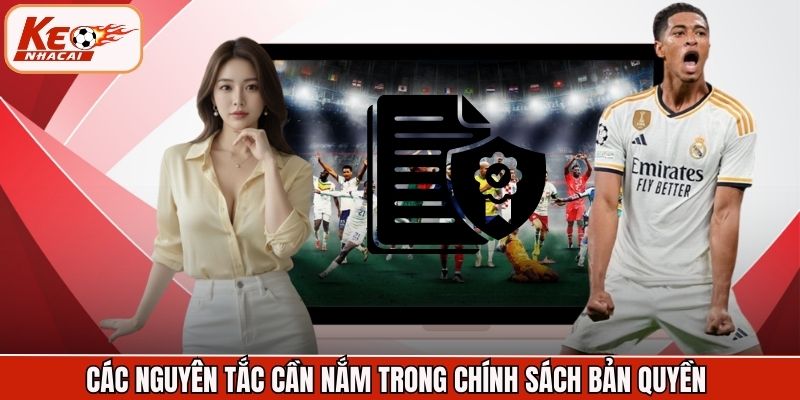 Các nguyên tắc cần nắm trong chính sách bản quyền