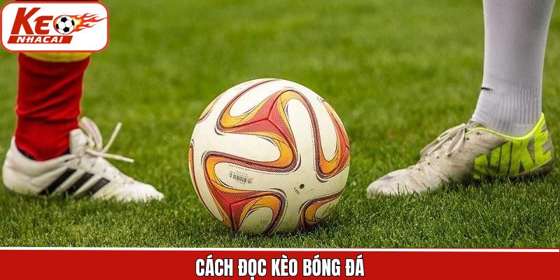 Cách Đọc Kèo Bóng Đá Dễ Dàng Khi Tham Gia Cá Cược