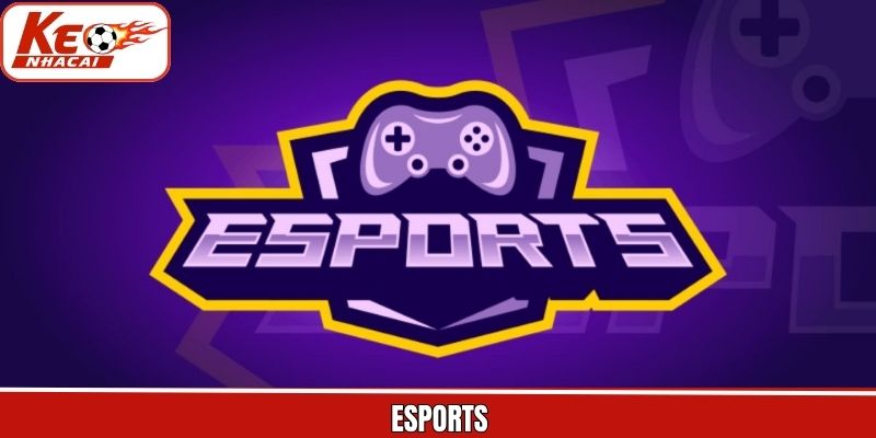 Esports - Cá Cược Thể Thao Điện Tử Sôi Động Thưởng Lớn