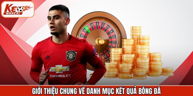 Giới thiệu chung về danh mục kết quả bóng đá