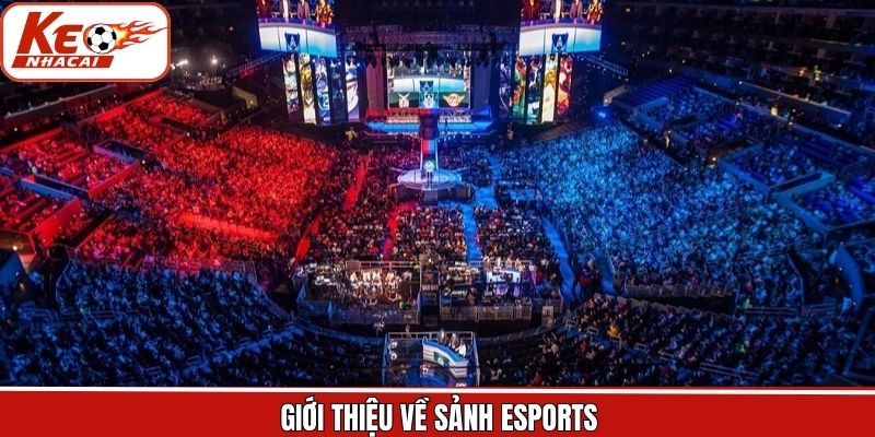 Tổng quan về cá cược thể thao điện tử siêu hot