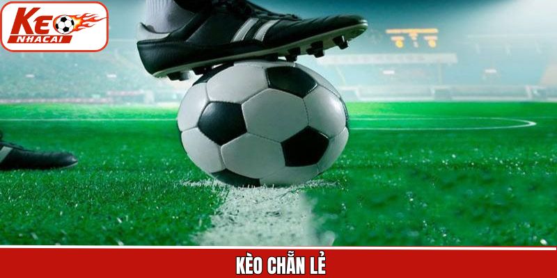 Kèo Chẵn Lẻ - Bí Quyết Soi Cầu Bóng Đá Săn Thưởng Lớn