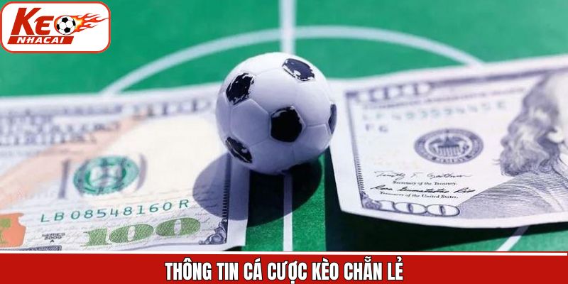 Đôi nét về hình thức cược bóng đá hấp dẫn