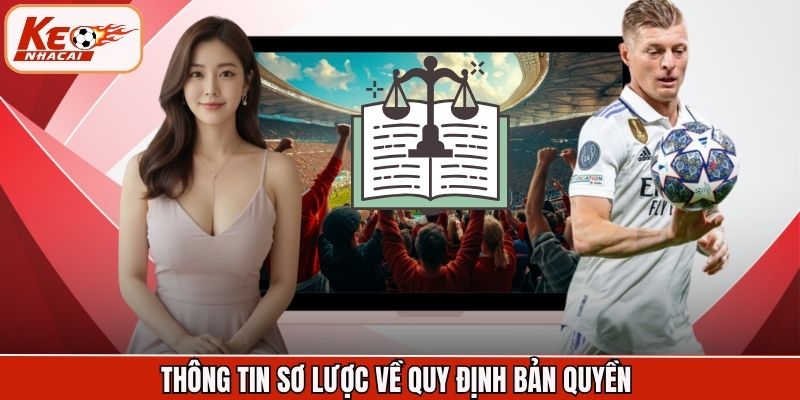 Thông tin sơ lược về quy định bản quyền
