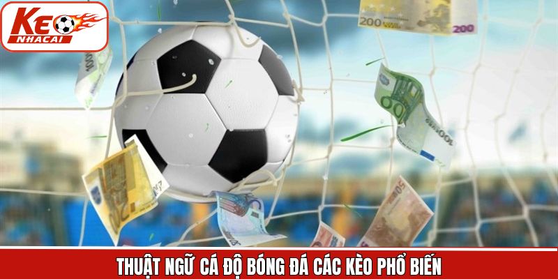 Thuật ngữ cá độ bóng đá về các kèo cược nên nắm
