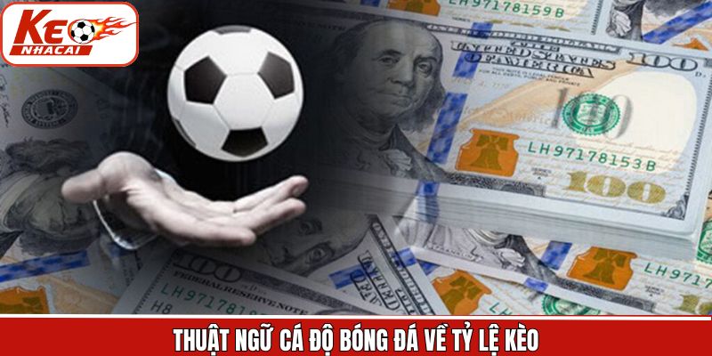 Các thuật ngữ liên quan đến tỷ lệ kèo và cách tính tiền cược