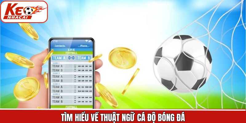 Các thuật ngữ chung về cá cược bóng đá nên biết