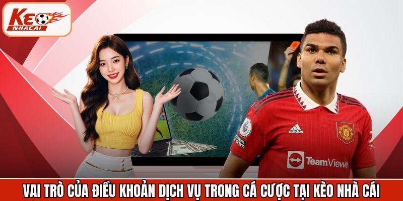 Vai trò của điều khoản dịch vụ trong cá cược tại Kèo Nhà Cái
